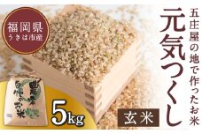 【特Aランク米】五庄屋の地で作ったお米 元気つくし 玄米 (5kg) 【2025年10月下旬より順次発送予定】 こめ コメ ごはん ご飯 福岡県うきは市産 九州産