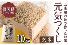 【特Aランク米】五庄屋の地で作ったお米 元気つくし 玄米 (10kg) 【2025年10月上旬より順次発送予定】 こめ コメ ごはん ご飯 福岡県うきは市産 九州産