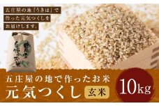 【特Aランク米】五庄屋の地で作ったお米 元気つくし 玄米 (10kg) 【2025年10月上旬より順次発送予定】 こめ コメ ごはん ご飯 福岡県うきは市産 九州産