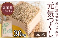 【特Aランク米】五庄屋の地で作ったお米 元気つくし 玄米 (30kg) 【2025年10月上旬より順次発送予定】 こめ コメ ごはん ご飯 福岡県うきは市産 九州産