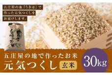 【特Aランク米】五庄屋の地で作ったお米 元気つくし 玄米 (30kg) 【2025年10月上旬より順次発送予定】 こめ コメ ごはん ご飯 福岡県うきは市産 九州産