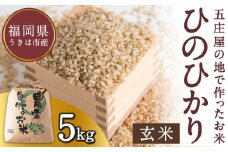 【特Aランク米】五庄屋の地で作ったお米 ひのひかり 玄米 (5kg) 【2025年10月下旬より順次発送予定】 ヒノヒカリ こめ コメ ごはん ご飯 福岡県うきは市産 九州産