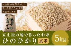 【特Aランク米】五庄屋の地で作ったお米 ひのひかり 玄米 (5kg) 【2025年10月下旬より順次発送予定】 ヒノヒカリ こめ コメ ごはん ご飯 福岡県うきは市産 九州産