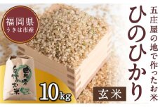 【特Aランク米】五庄屋の地で作ったお米 ひのひかり 玄米 (10kg) 【2025年10月下旬より順次発送予定】 ヒノヒカリ こめ コメ ごはん ご飯 福岡県うきは市産 九州産
