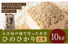 【特Aランク米】五庄屋の地で作ったお米 ひのひかり 玄米 (10kg) 【2025年10月下旬より順次発送予定】 ヒノヒカリ こめ コメ ごはん ご飯 福岡県うきは市産 九州産