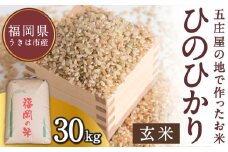 【特Aランク米】五庄屋の地で作ったお米 ひのひかり 玄米 (30kg) 【2025年10月下旬より順次発送予定】 ヒノヒカリ こめ コメ ごはん ご飯 福岡県うきは市産 九州産