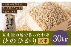 【特Aランク米】五庄屋の地で作ったお米 ひのひかり 玄米 (30kg) 【2025年10月下旬より順次発送予定】 ヒノヒカリ こめ コメ ごはん ご飯 福岡県うきは市産 九州産