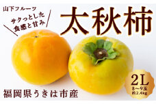 【2025年 令和7年 先行予約】太秋柿 8玉から9玉 2L (約2.4kg) たいしゅう かき カキ 甘柿 果物 くだもの フルーツ 秋の味覚 【山下フルーツ】 【2025年10月上旬から10月中旬 出荷予定】