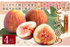 【先行予約】渡辺農園 いちじく (とよみつひめ) 4パック 【2025年7月下旬～2025年9月下旬 出荷予定】 フルーツ 果物 果実 常温 送料無料 福岡県 うきは市