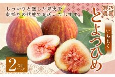 【先行予約】渡辺農園 いちじく (とよみつひめ) 2パック 【2025年7月下旬～2025年9月下旬 出荷予定】 フルーツ 果物 果実 常温 送料無料 福岡県 うきは市