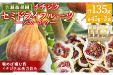 吉瀬森果園 イチジク (とよみつひめ) セミドライフルーツ (45ｇ×3袋) 【2026年9月上旬より順次発送予定】計135ｇイチジク いちじく 旬 フルーツ 果物 果実 常温 送料無料 福岡県 うきは市