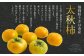 【先行予約】 西見柿農園 特選太秋柿 5玉から6玉 （約2kg）