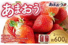 千年いちご あまおうイチゴ (300g×2パック) 3月お届け あまおう いちご イチゴ 苺 フルーツ 果物 冷蔵 送料無料 福岡県 うきは市 【2026年3月より順次発送予定】