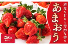 Green's 「いちごの王様」目指す福岡県産あまおう 250g×4パック 2月分 あまおう いちご イチゴ 苺 フルーツ 果物 冷蔵 送料無料 福岡県 うきは市 【2026年2月より順次発送予定】