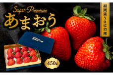 千年いちご スーパープレミアム あまおうイチゴ (450g) 2月お届け あまおう いちご イチゴ 苺 フルーツ 果物 冷蔵 送料無料 福岡県 うきは市 【2026年2月より順次発送予定】