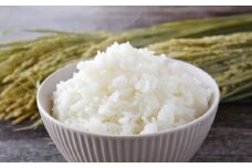 《令和7年産》 福岡県産 夢つくし 無洗米 10kg （5kg × 2袋） こめ コメ ごはん ご飯 コシヒカリ キヌヒカリ 白米 令和7年度米 単一原料米 ブランド米 福岡県 うきは市 常温