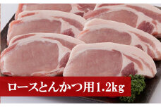 M76 野田精肉店厳選豚肉＜ロースとんかつ用1.2kg＞