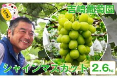 M134　【お盆～8月末順次発送】吉﨑葡萄園直送！【大人気のシャインマスカット２．６キロ】