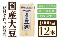 〈ふくれん〉　国産大豆100％　成分無調整　豆乳　1000ml×12本　[M243-4P]　飲料　イソフラボン　ソイ　健康　たんぱく質