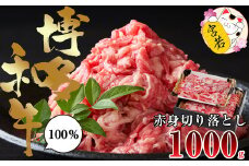 Ｍ545【数量限定】福岡県産 ブランド牛 博多和牛 100％ 切り落とし (モモ・バラ・ウデ混合) 500g×2パック 計1000g