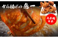 M575【鳥一】若鶏一本揚げ 大手羽４本入り