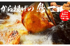 M582【鳥一】若鶏一本揚げ もも4本＆国産もも骨なし500gセット