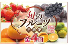 【ふるさと納税】【定期便】宮若市旬のフルーツ定期便【全４回】 ブランド いちご ぶどう みかん 柿 大人気 NO1 限定品 高級 フルーツ 果物 くだもの 特別 冷蔵 プレゼント 九州 福岡 宮若市 ふるさと納税 おすすめ 送料無料 M763