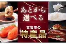 あとから選べる宮若市の特産品 30万円 M777-30