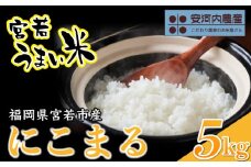 令和7年産　【先行予約】にこまる 5kg　【10月下旬より順次発送】福岡県宮若産〈安河内農産〉　[M04-3]　 米・食味国際大会金賞米 精米 ブランド米 コメ ご飯 白米