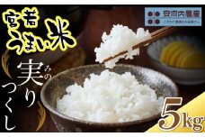令和7年産　【先行予約】実りつくし 5kg　【10月下旬より順次発送】 福岡県宮若産〈安河内農産〉　[M788]　米・食味コンクール国際大会金賞米 精米 ブランド米 コメ ご飯 白米