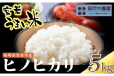 令和7年産　【先行予約】ヒノヒカリ 5kg　【10月下旬より順次発送】福岡県宮若産 〈安河内農産〉　[M790]　新米 宮若うまい米 精米 ブランド米 コメ ご飯 白米