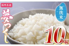 数量限定【令和6年産】福岡県産 夢つくし 無洗米 10kg (5kg×2袋) [M852] ごはん コメ ご飯 精米 白米 ブランド米 かんたん 便利