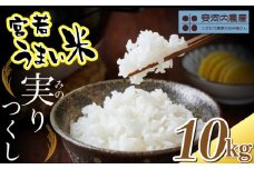〈安河内農産〉令和7年産 【先行予約】実りつくし 10kg(5kg×2袋)【10月下旬より順次発送】福岡県宮若産 [M789-1] 米・食味コンクール国際大会金賞米 精米 ブランド米 コメ ご飯 白米