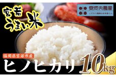 〈安河内農産〉令和7年産 【先行予約】ヒノヒカリ 10kg(5kg×2袋)【10月下旬より順次発送】福岡県宮若産 [M791-1] 新米 宮若うまい米 精米 ブランド米 コメ ご飯 白米