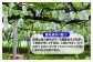 農薬は極力使用せず、また有機肥料などを使い、手間暇を惜しまず育てています