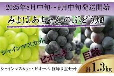 ＜みよばあちゃんのぶどう畑直送！＞ 先行予約 8月中旬～9月中旬順次発送【露地栽培のシャインマスカット・ピオーネ・巨峰セット 約1.3kg】[M30-2] 葡萄 ブドウ ぶどう 巨峰 果物 くだもの マスカット フルーツ 新鮮 九州 福岡 宮若