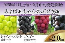 M38-2　【9月上旬～９月中旬順次発送】みよばあちゃんのぶどう畑直送！【露地栽培のシャインマスカット・ピオーネ・ゴルビー・巨峰セット 約2.0kg】