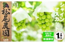 〈松尾農園〉シャインマスカット1kg(家庭用) [M528-2] 果物 果汁 ぶどう 高級 福岡 フルーツ 甘い マスカット 福岡県 宮若市 送料無料