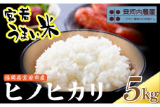 令和7年産　【先行予約】ヒノヒカリ 5kg　【10月下旬より順次発送】福岡県宮若産 〈安河内農産〉　[M790-1]　新米 宮若うまい米 精米 ブランド米 コメ ご飯 白米