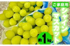 〈松尾農園〉シャインマスカット1kg(家庭用) [M758-3] 果物 果汁 ぶどう 高級 福岡 フルーツ 甘い マスカット 福岡県 宮若市 送料無料