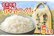 【先行予約】みよばあちゃんの元気つくし5kg 令和7年産 [M853-1]