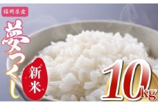 【新米先行予約】福岡県産 夢つくし 精米 10kg 令和7年産 (5kg×2袋) [M875-1] ごはん コメ ご飯 精米 白米 ブランド米