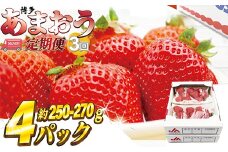 M870-0【2026年2月~4月配送】博多あまおう 250g~270g×4パック【3回定期便】