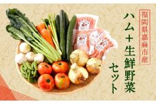 ハム + 生鮮 野菜セット 加工肉 4種 季節の生鮮 野菜