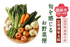 旬を感じるお野菜 定期便 年4回 季節 野菜セット