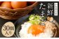 鶏 卵 30個入り 新鮮 たまご