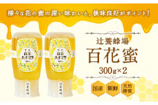 辻養蜂場 百花蜜 300g×2 合計600g 純粋はちみつ 蜂蜜
