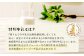 白木牧場 特別 牛乳 750ml×3本 絞りたての 牛乳