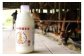 白木牧場 特別 牛乳 750ml×3本 絞りたての 牛乳