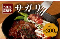 嘉穂牛 サガリ 約300g 数量限定 ブランド牛 牛肉